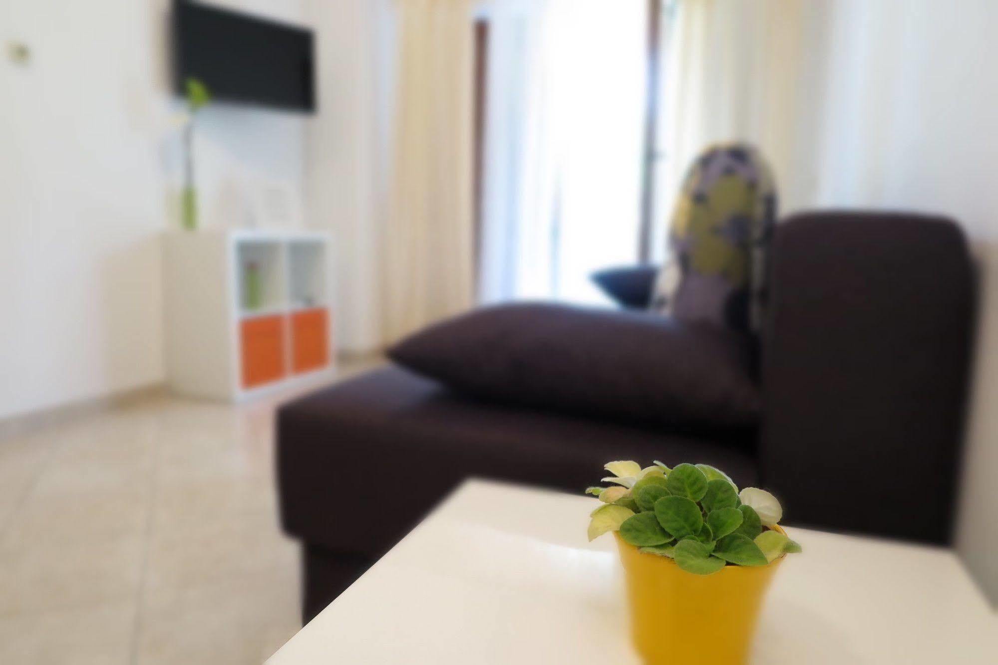 Apartments Vanda Ровинь Экстерьер фото